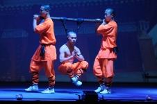 shaolin-tn-10