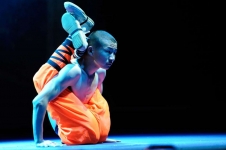 shaolin-tn-15